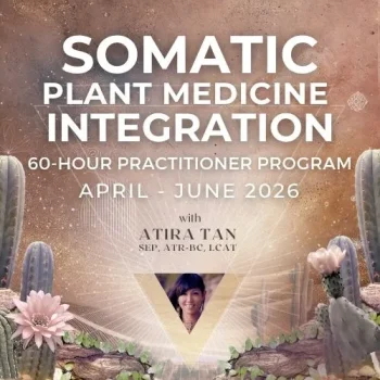 WhatsApp Image 2025 12 20 at 9.28.47 a.m rgg8qz4g0f1yw0us8cd1ktwv1ws51rhe533y1guz3g