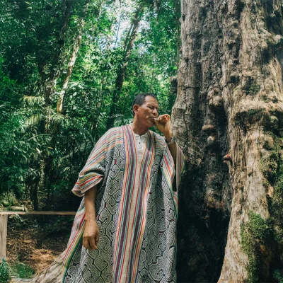 don miguel noya rao r86ncpvv9ikkd8mj3s6u2bf1fo7prn6ps92gmpv9nk